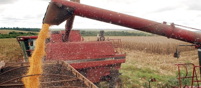 Brasil pode superar EUA na produção de soja