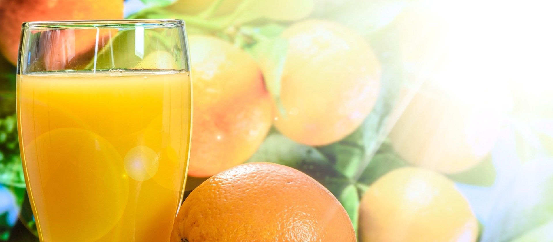 Exportações de suco de laranja cresceram 17% no Brasil 