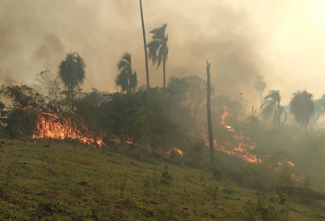 Incêndio ambiental em Quedas de Iguaçu mobiliza bombeiros da região